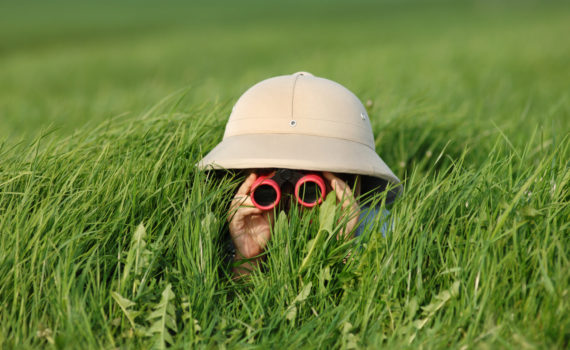 Explorer in the Field little boy in high grass searching for something... a TIGER???