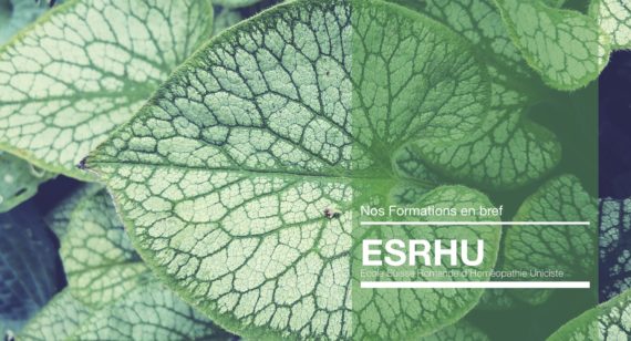 Formation en Bref ESRHU (glissé(e)s)